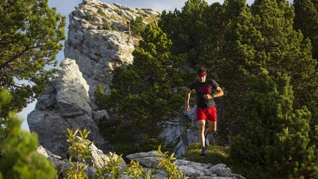 Trail : La boucle des Chartreux