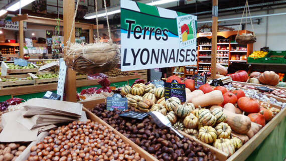 Terres Lyonnaises