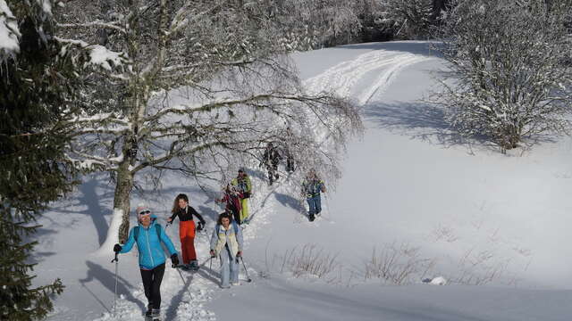 Walks and snowshoeing - Féclaz or Revard