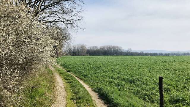 Sentier L'Île