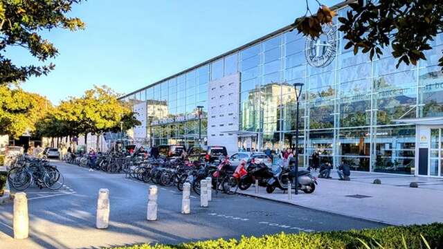 Maxi Aperitif Culture Bubbles