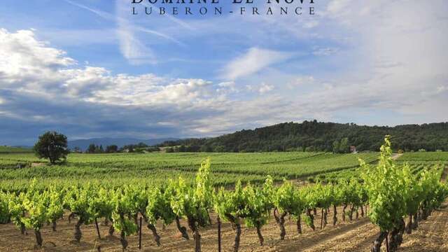 Les Sunsets Vignerons en Luberon au Domaine Le Novi à La Tour d'Aigues