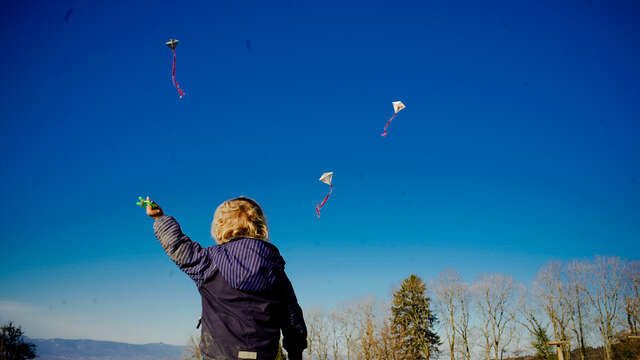 Birthday party in the great outdoors: Kite making