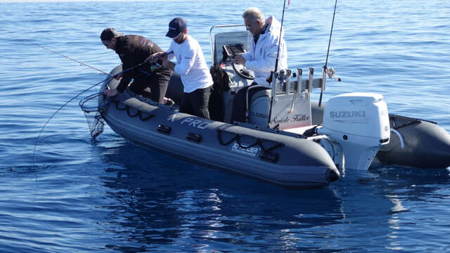 Suzuki Master Fishing - Fishing