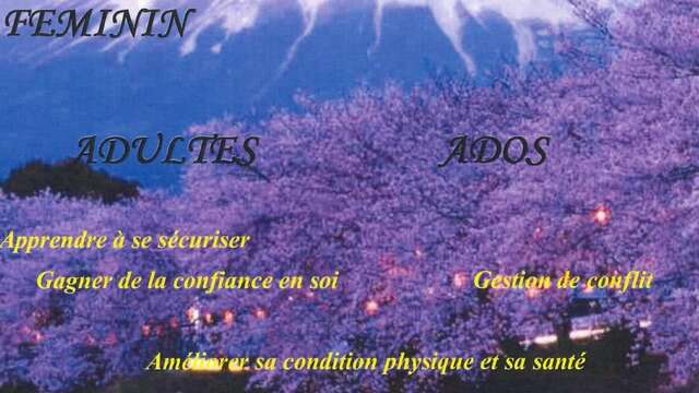 Cours de Self Défense et Qi Gong