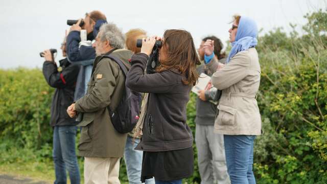 Nature outing in song: discover biodiversity co-hosted by the LPO (League for the Protection of Birds)