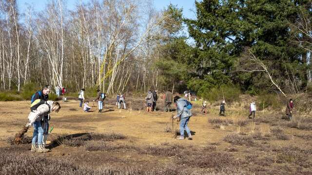 Promenons-nous dans les bois