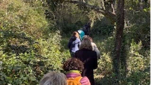 Guided walk to discover biodiversity at Domaine de la Portanière