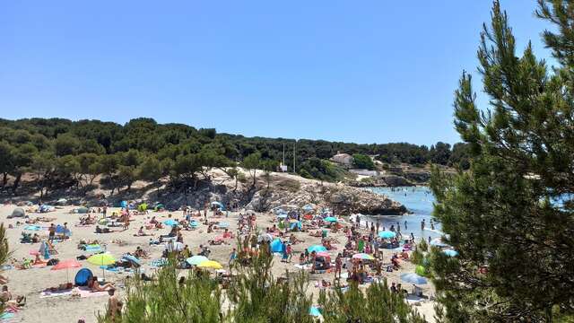 Plage de La Saulce