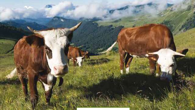 De Chablais Geoparkweken - editie 2024