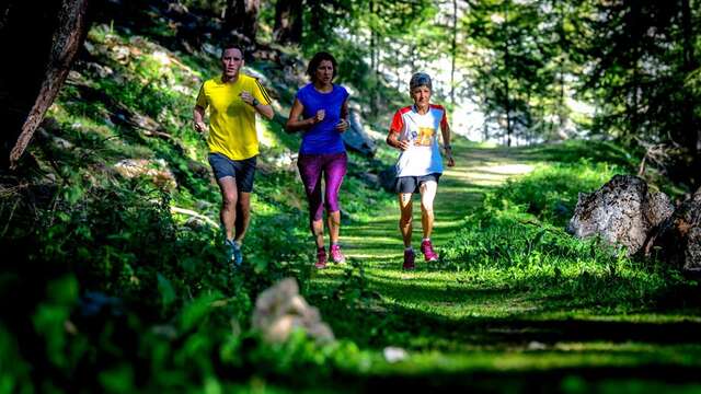 Trail - Le chemin du garde (vert)