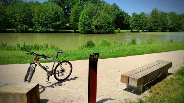 Circuit VTT-VTC n°16 (bleu) - Domaine de Mépillat et Grand Montrachy