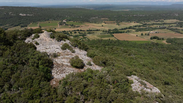 Sur la crête de la Montagne d'Artigues (646 m)