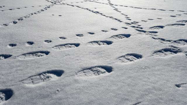 Randonnée raquettes avec Edith