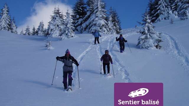 Les Glaciers - Randonnée hivernale