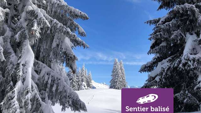 Fimaloz (Agy) - Randonnée hivernale