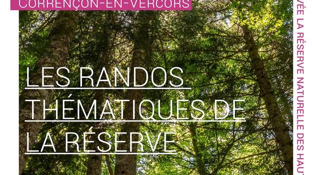 Rando Thématique  Forêt / balade ludique