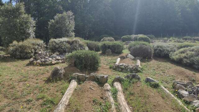 La nécropole de Tabariane