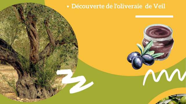 Appuntamento con l'olivo con Curieux de Nature