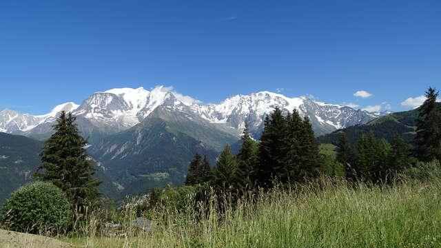 Du Bettex au Plateau de la Croix