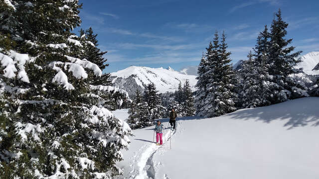 Leuke sneeuwschoenwandelingen