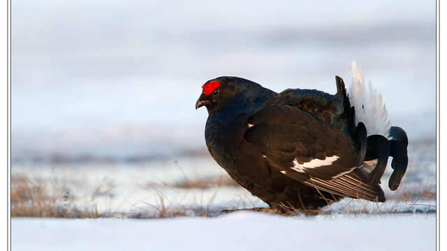 Une montagne à partager