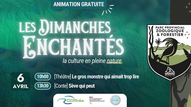 Les dimanches enchantés
