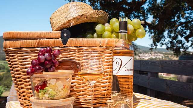 Pique nique dans les vignes au Château Vaudois