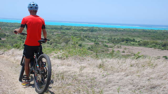 Mountain Bike Trail n.5 "Flat Forest"