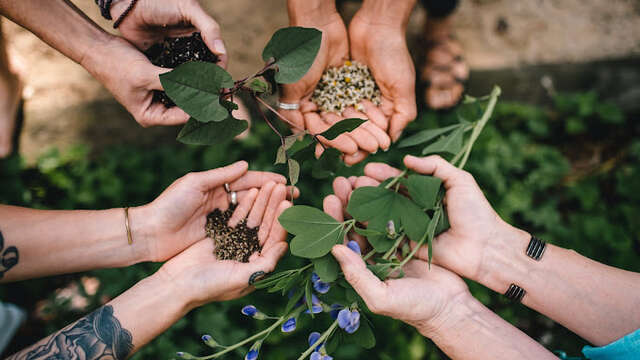 Atelier d'herboristerie