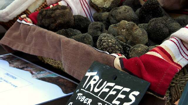 Marché à la truffe d'été
