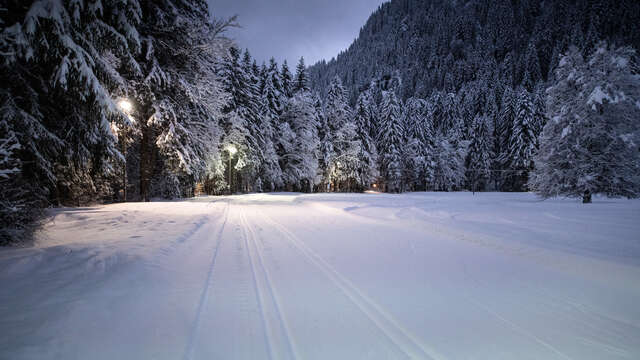 Piste de ski de fond du Grand-Paradis à Champéry