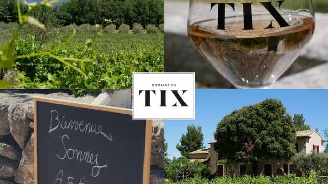 Dégustations au Domaine du Tix