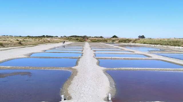 Salina del Barrot Sud - Visitas y clases de dibujo