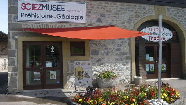 Musée de Préhistoire et Géologie Jean Hallemans