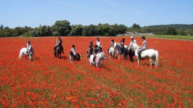 Haras de Lagnes