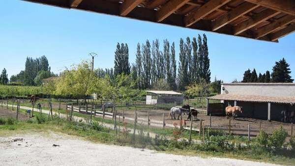 A la rencontre des vergers de Provence