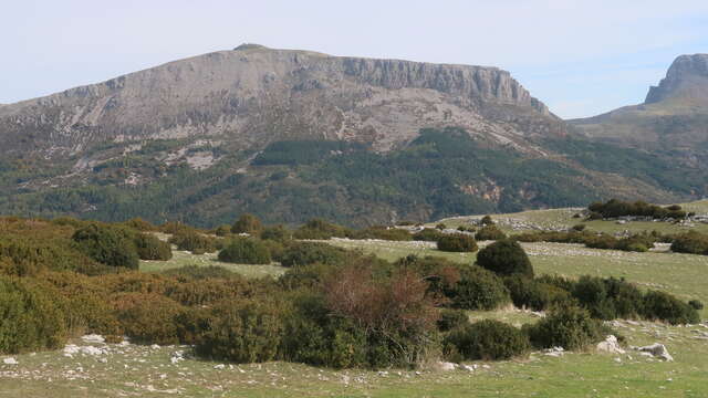 Mont Chiran