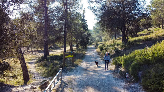 Rando marcher-autrement à Châteauneuf-de-Gadagne : Les Glaussières