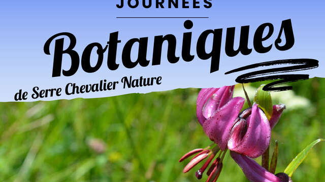 Conférence : balade botanique sur les pentes du Galibier