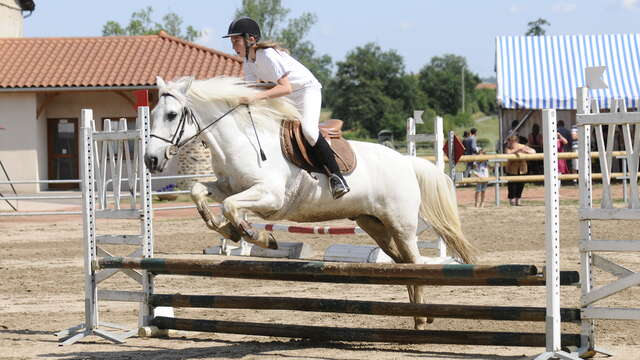 Poney-Club du Forez