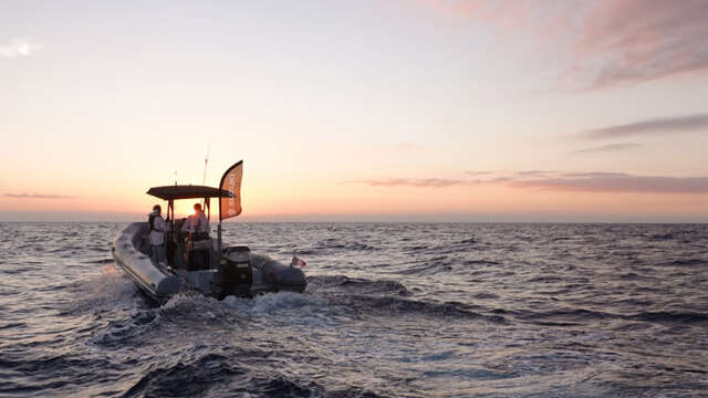 Suzuki Master Fishing - Pêche