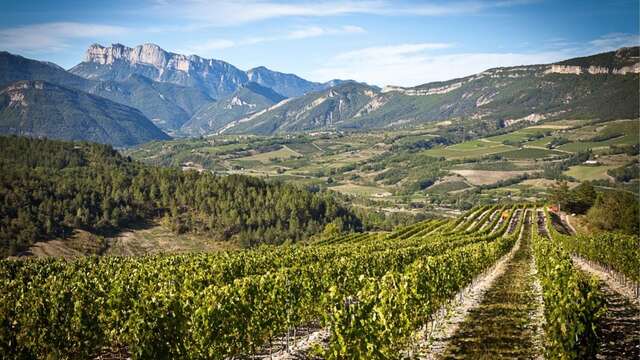 De Ferme en Ferme - GAEC des Adrets / Cave Maillefaud