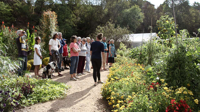 Visite guidée du jardin