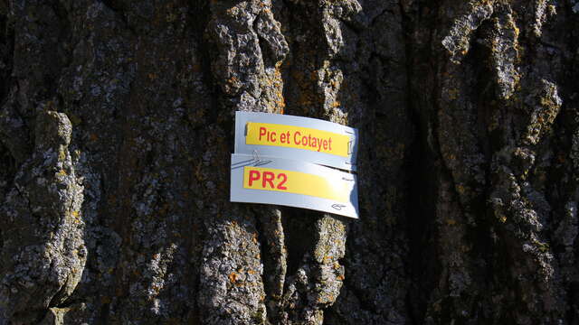 Pic et Cotayet - PR 2