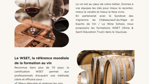 Formations du WSET 1 et 2 à Chateauneuf du Pape