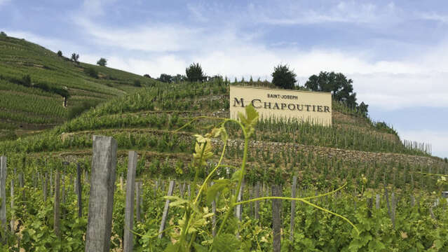 Atelier Découverte "  100% Saint Joseph   " - M.CHAPOUTIER