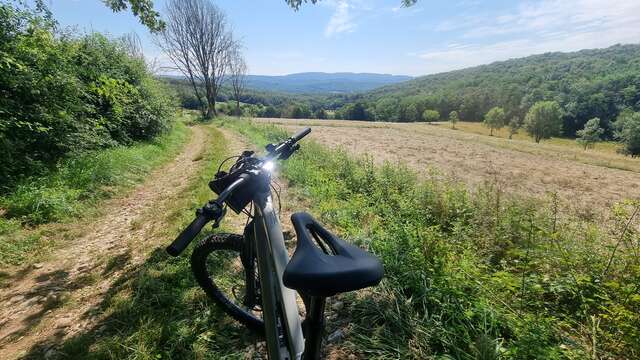 MTB track no. 22 (blue) - Forêt de Bohas et du Vieudrin