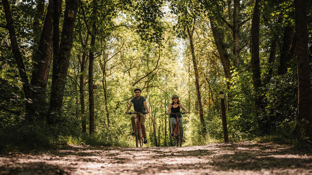 Boucle de la Férande - Descente VTT