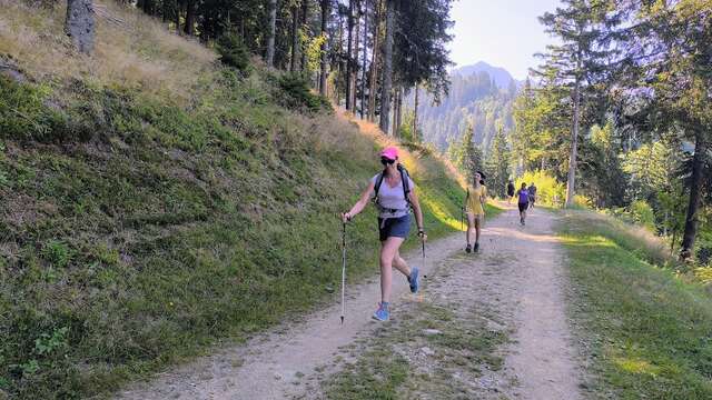 Prenez vos baskets, on fournit les bâtons !